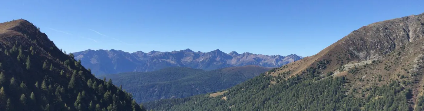 Bewaldetes Tal zwischen zwei Bergkämmen, dahinter eine Bergkette unter klarem Himmel