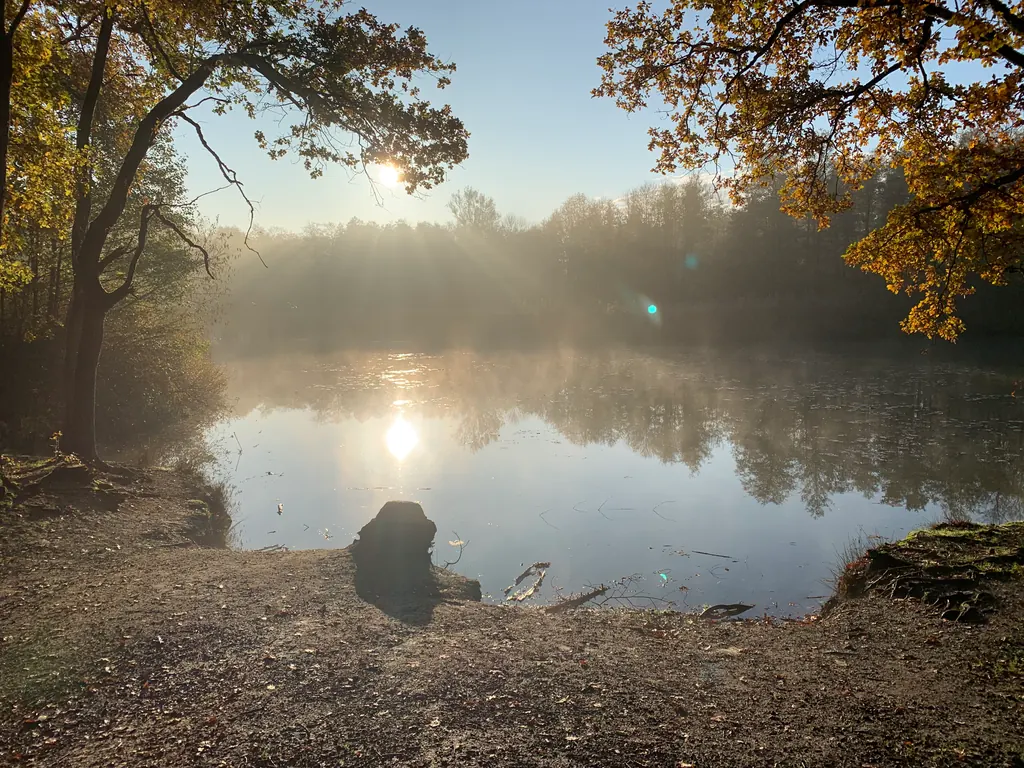 Sonnenlicht über einem ruhigen See im Herbstwald