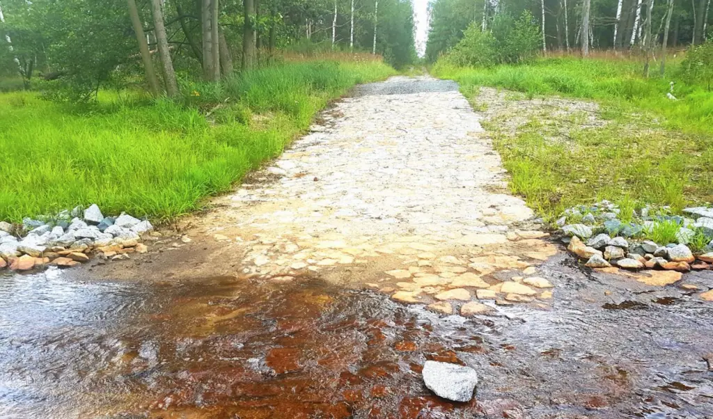 Ein befestigter Weg führt durch einen flachen Bach in den Wald