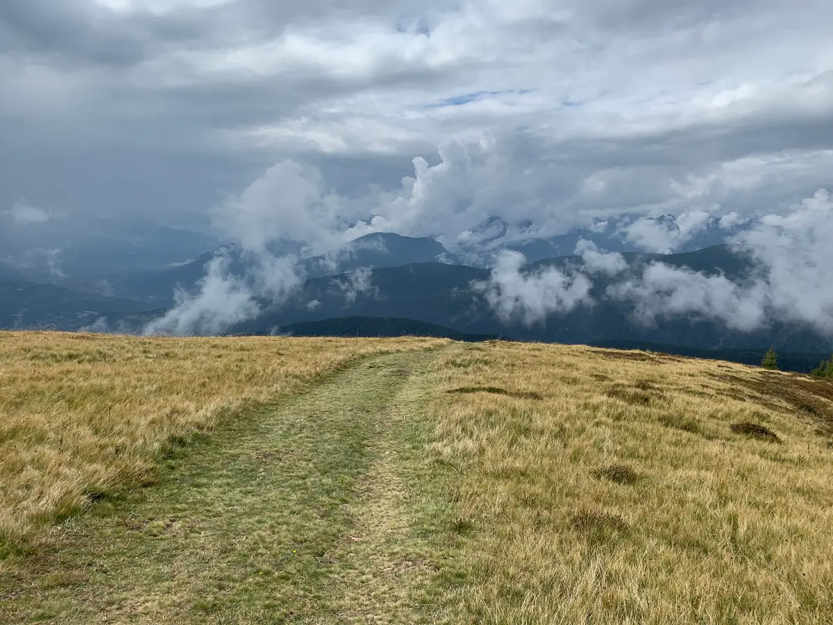 Bergwiese mit schmalem Weg unter tiefen Wolken